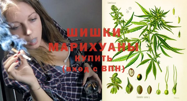 ПСИЛОЦИБИНОВЫЕ ГРИБЫ Зерноград