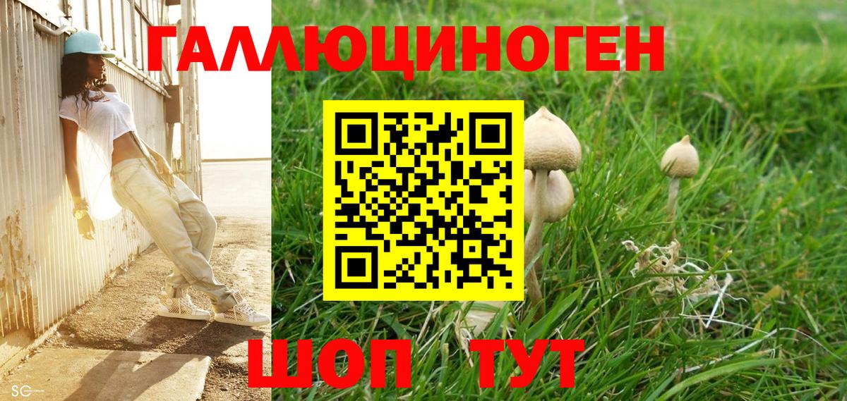 Псилоцибиновые грибы MAGIC MUSHROOMS Камышлов