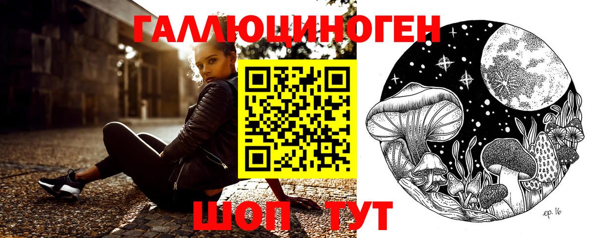 Псилоцибиновые грибы Magic Shrooms  Вход с VPN  Псилоцибиновые грибы Psilocybine cubensis  Камышлов 